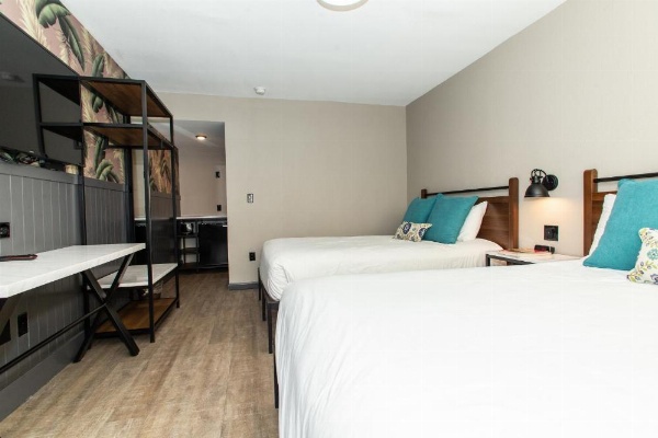 Magnolia Tree Hotel-Maingate/Anaheim Convention Center image 22